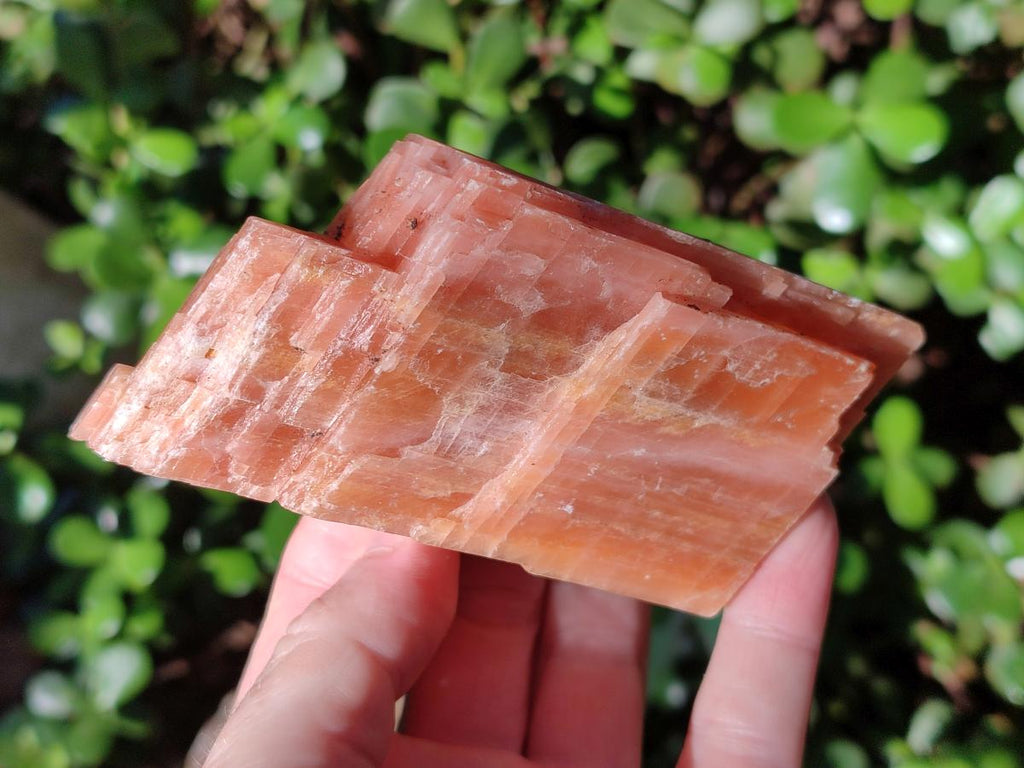 Natural Rhombohedral Sunset Orange Calcite Specimens x 4 From Spitzkop, Namibia - Toprock Gemstones and Minerals 