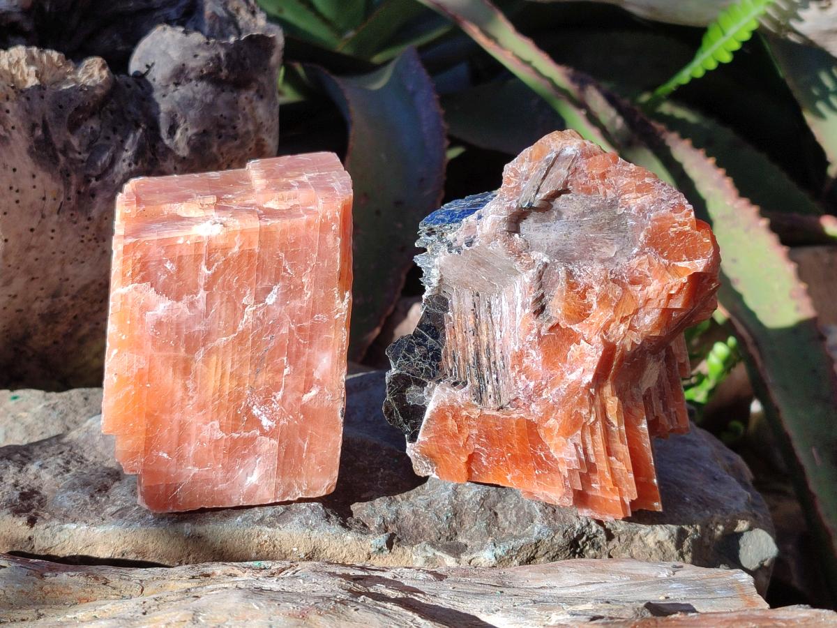 Natural Rhombohedral Sunset Orange Calcite Specimens x 4 From Spitzkop, Namibia - Toprock Gemstones and Minerals 