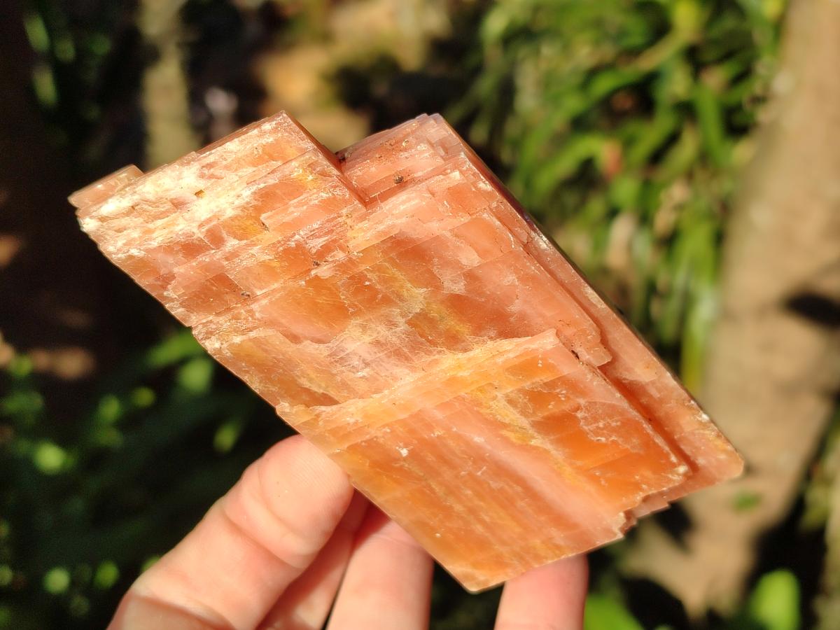 Natural Rhombohedral Sunset Orange Calcite Specimens x 4 From Spitzkop, Namibia - Toprock Gemstones and Minerals 