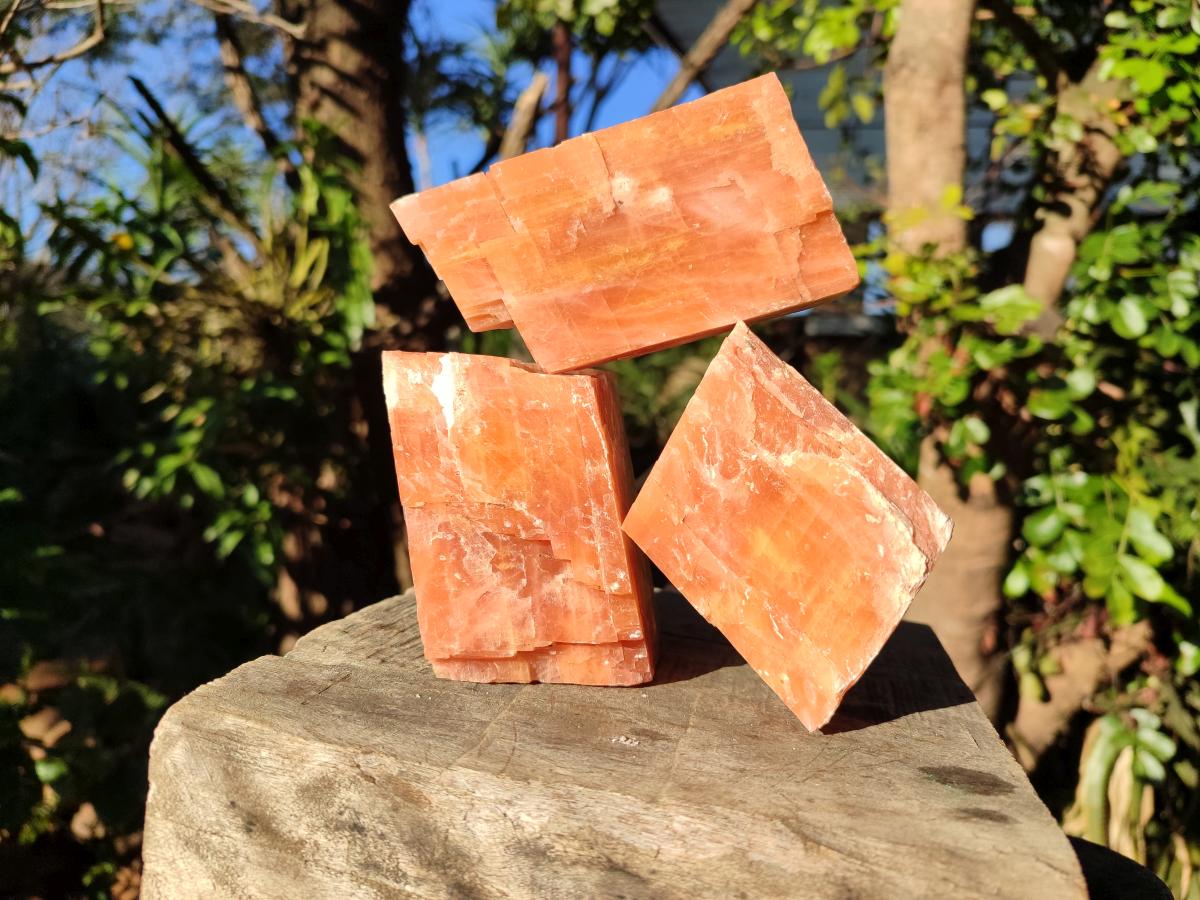 Natural Rhombohedral Sunset Orange Calcite Specimens x 4 From Spitzkop, Namibia - Toprock Gemstones and Minerals 