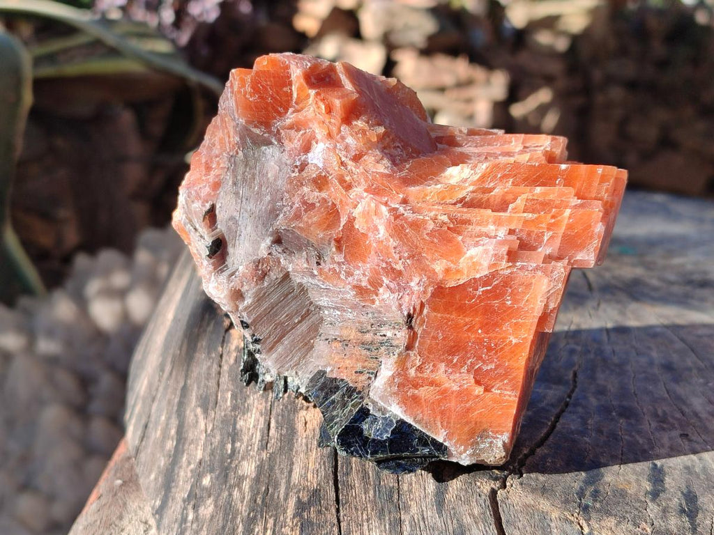 Natural Rhombohedral Sunset Orange Calcite Specimens x 4 From Spitzkop, Namibia - Toprock Gemstones and Minerals 