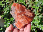Natural Rhombohedral Sunset Orange Calcite Specimens x 4 From Spitzkop, Namibia - Toprock Gemstones and Minerals 