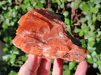 Natural Rhombohedral Sunset Orange Calcite Specimens x 4 From Spitzkop, Namibia - Toprock Gemstones and Minerals 