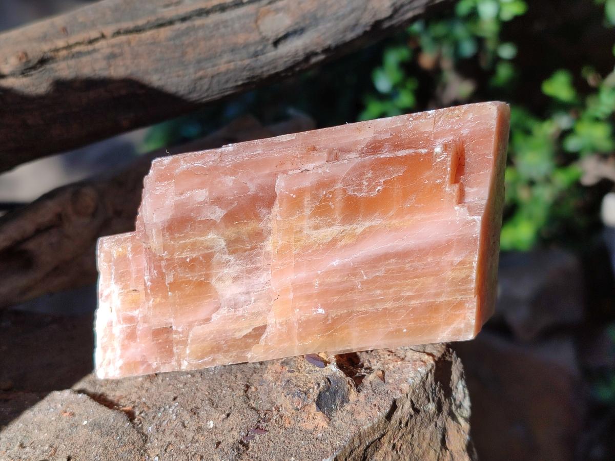 Natural Rhombohedral Sunset Orange Calcite Specimens x 4 From Spitzkop, Namibia - Toprock Gemstones and Minerals 