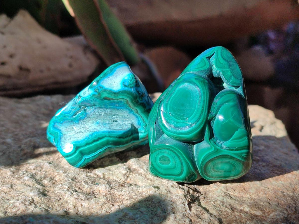 Polished Malacolla Free Forms x 12 From Kulukuluku, Congo - Toprock Gemstones and Minerals 