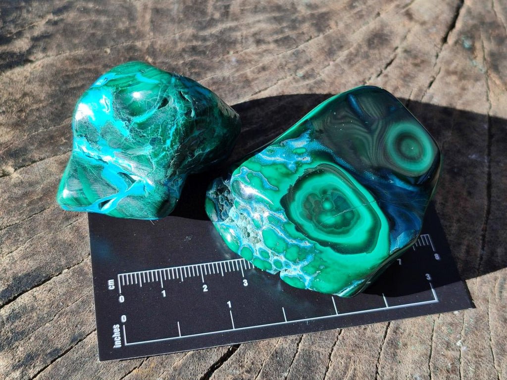 Polished Malacolla Free Forms x 12 From Kulukuluku, Congo - Toprock Gemstones and Minerals 