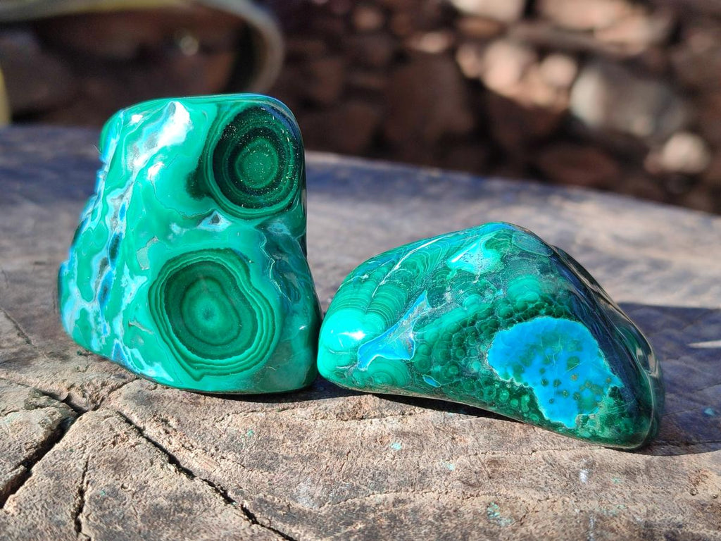 Polished Malacolla Free Forms x 12 From Kulukuluku, Congo - Toprock Gemstones and Minerals 