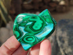 Polished Malacolla Free Forms x 12 From Kulukuluku, Congo - Toprock Gemstones and Minerals 