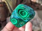 Polished Malacolla Free Forms x 12 From Kulukuluku, Congo - Toprock Gemstones and Minerals 