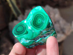 Polished Malacolla Free Forms x 12 From Kulukuluku, Congo - Toprock Gemstones and Minerals 