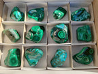 Polished Malacolla Free Forms x 12 From Kulukuluku, Congo - Toprock Gemstones and Minerals 