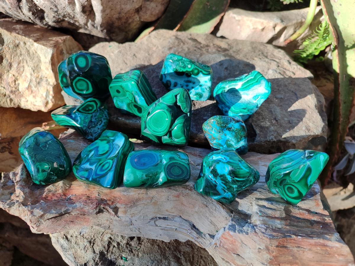 Polished Malacolla Free Forms x 12 From Kulukuluku, Congo - Toprock Gemstones and Minerals 