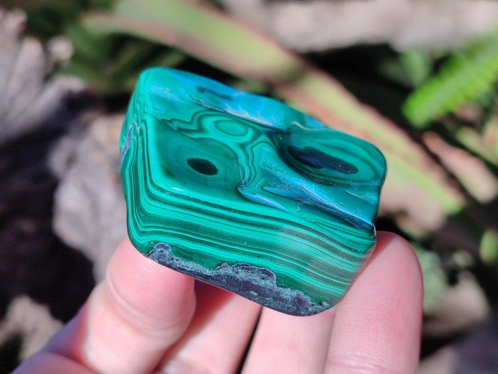 Polished Malacolla Free Forms x 12 From Kulukuluku, Congo - Toprock Gemstones and Minerals 