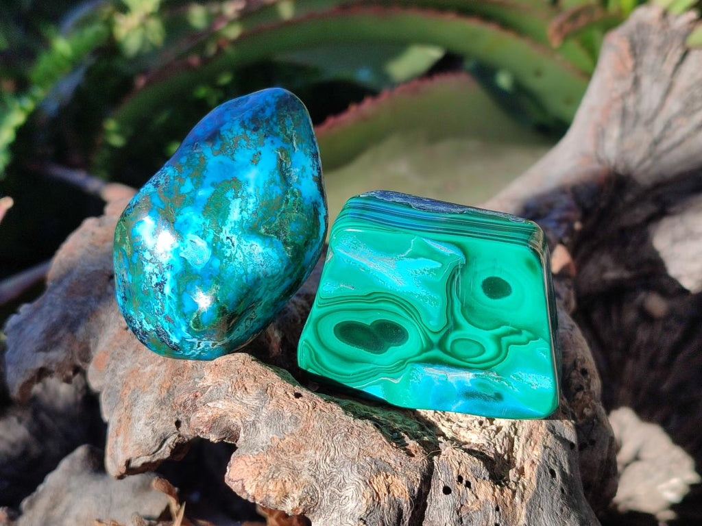 Polished Malacolla Free Forms x 12 From Kulukuluku, Congo - Toprock Gemstones and Minerals 