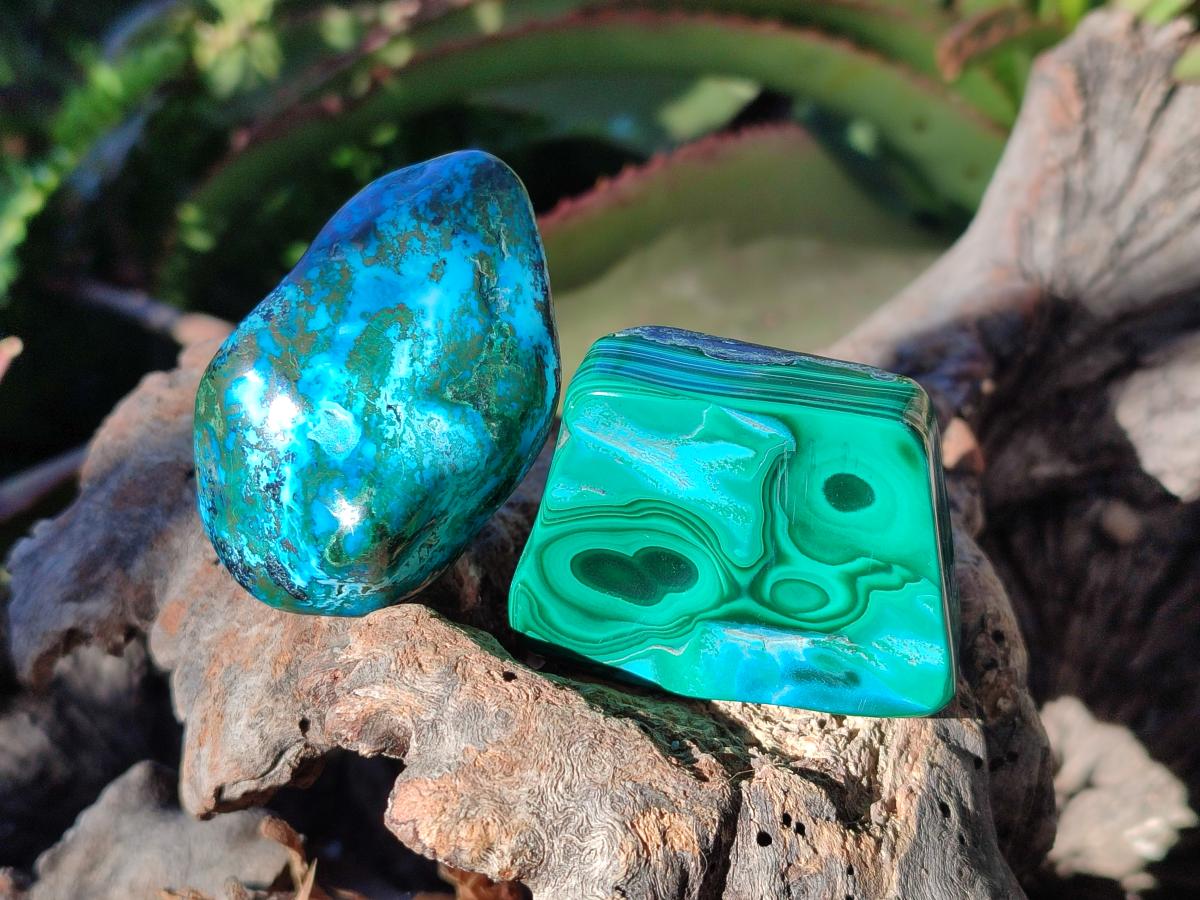 Polished Malacolla Free Forms x 12 From Kulukuluku, Congo - Toprock Gemstones and Minerals 