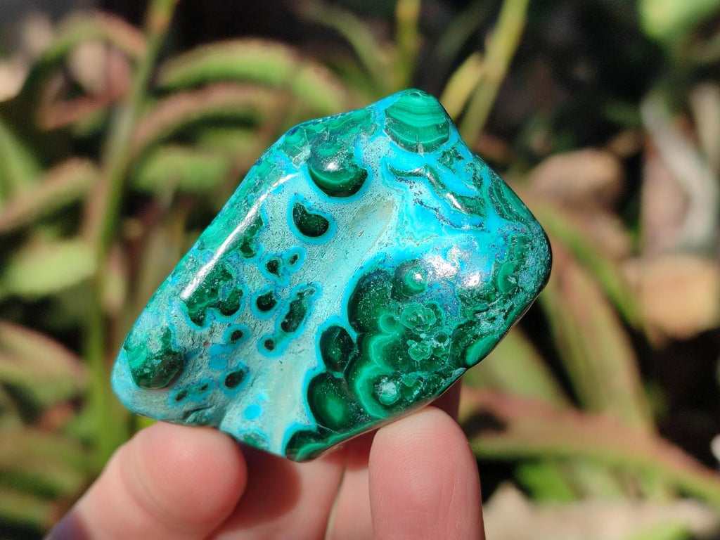 Polished Malacolla Free Forms x 12 From Kulukuluku, Congo - Toprock Gemstones and Minerals 