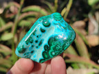 Polished Malacolla Free Forms x 12 From Kulukuluku, Congo - Toprock Gemstones and Minerals 