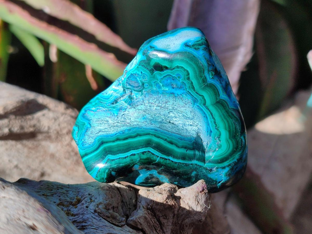 Polished Malacolla Free Forms x 12 From Kulukuluku, Congo - Toprock Gemstones and Minerals 