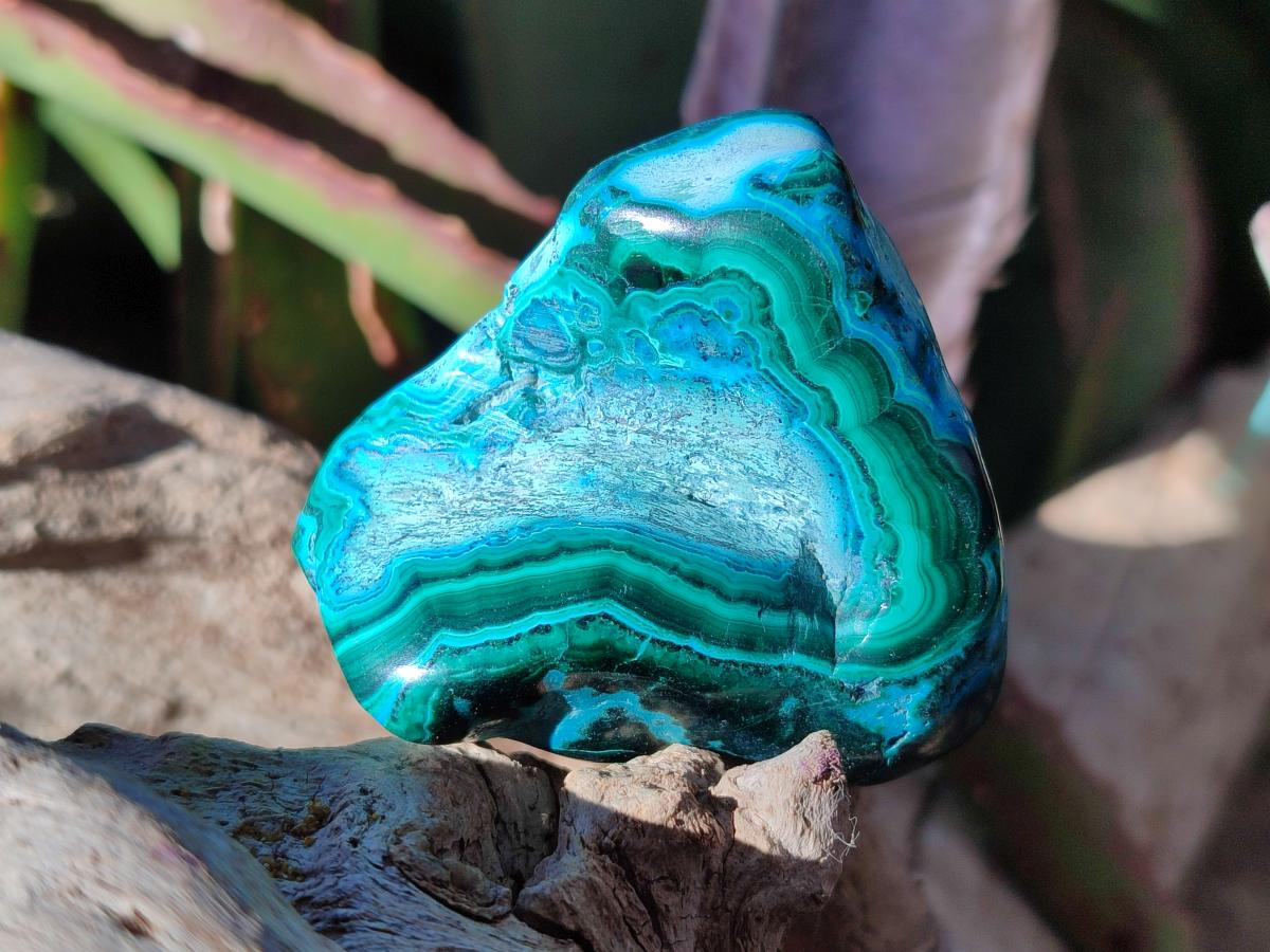 Polished Malacolla Free Forms x 12 From Kulukuluku, Congo - Toprock Gemstones and Minerals 