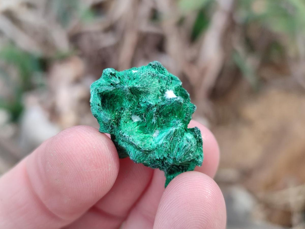 Natural Mini Silky Malachite Specimens x 280 From Kasompe, Congo - Toprock Gemstones and Minerals 