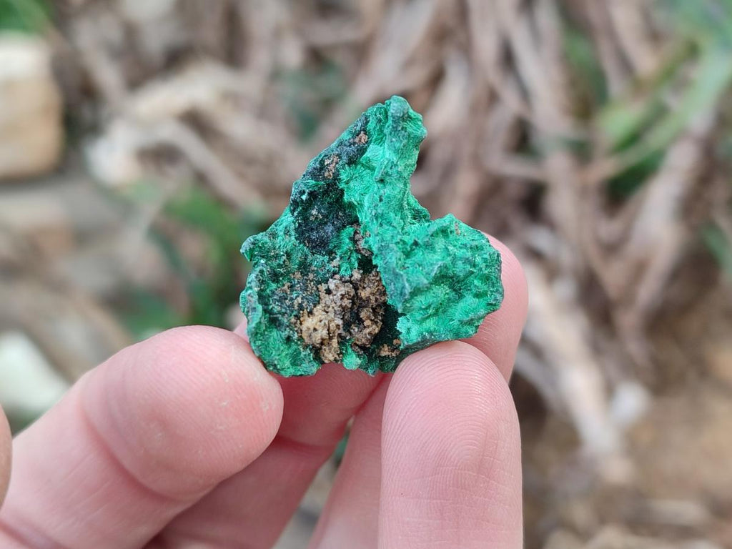 Natural Mini Silky Malachite Specimens x 280 From Kasompe, Congo - Toprock Gemstones and Minerals 