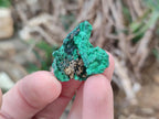 Natural Mini Silky Malachite Specimens x 280 From Kasompe, Congo - Toprock Gemstones and Minerals 