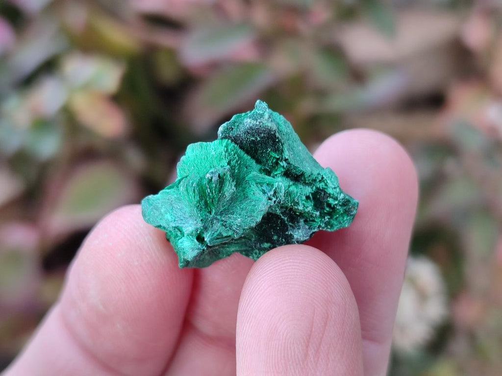 Natural Mini Silky Malachite Specimens x 280 From Kasompe, Congo - Toprock Gemstones and Minerals 