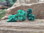 Natural Mini Silky Malachite Specimens x 280 From Kasompe, Congo - Toprock Gemstones and Minerals 