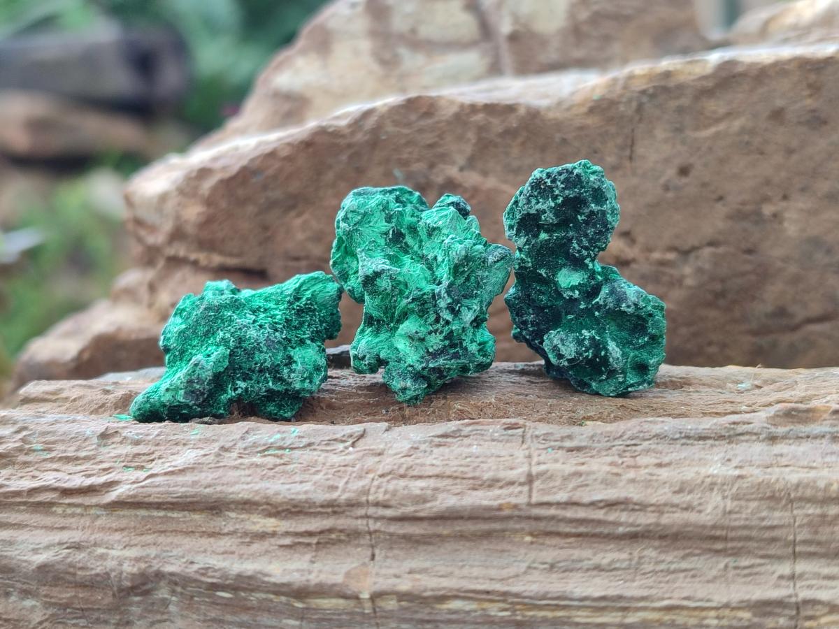 Natural Mini Silky Malachite Specimens x 280 From Kasompe, Congo - Toprock Gemstones and Minerals 
