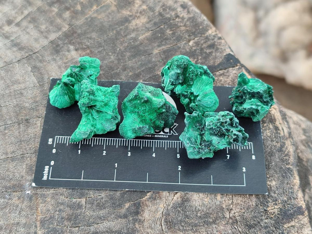 Natural Mini Silky Malachite Specimens x 280 From Kasompe, Congo - Toprock Gemstones and Minerals 