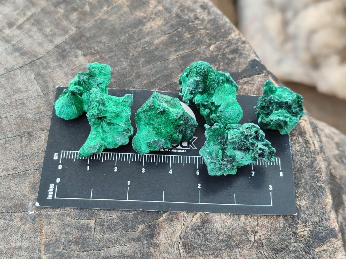 Natural Mini Silky Malachite Specimens x 280 From Kasompe, Congo - Toprock Gemstones and Minerals 