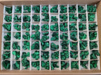 Natural Mini Silky Malachite Specimens x 280 From Kasompe, Congo - Toprock Gemstones and Minerals 