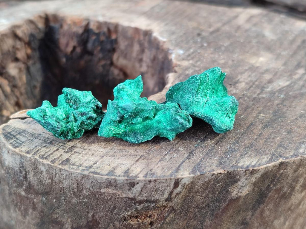 Natural Mini Silky Malachite Specimens x 280 From Kasompe, Congo - Toprock Gemstones and Minerals 