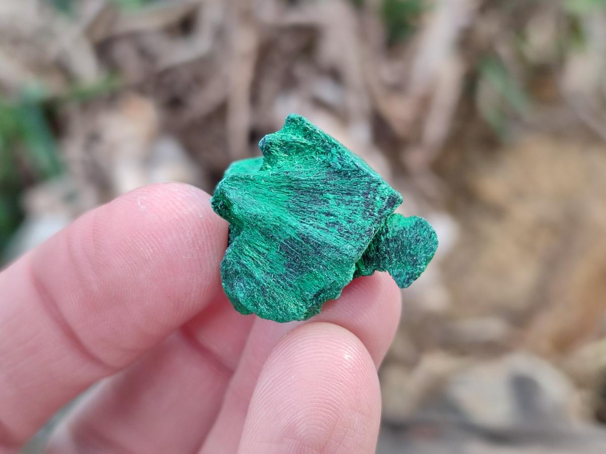 Natural Mini Silky Malachite Specimens x 280 From Kasompe, Congo - Toprock Gemstones and Minerals 