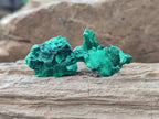 Natural Mini Silky Malachite Specimens x 280 From Kasompe, Congo - Toprock Gemstones and Minerals 