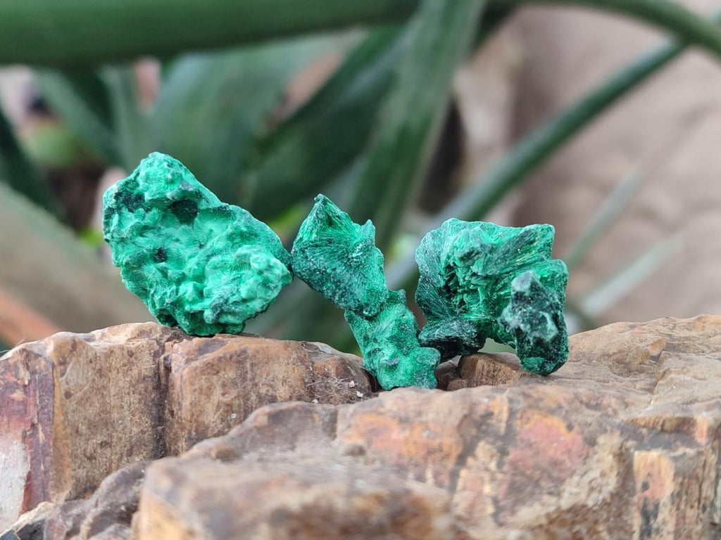 Natural Mini Silky Malachite Specimens x 280 From Kasompe, Congo - Toprock Gemstones and Minerals 