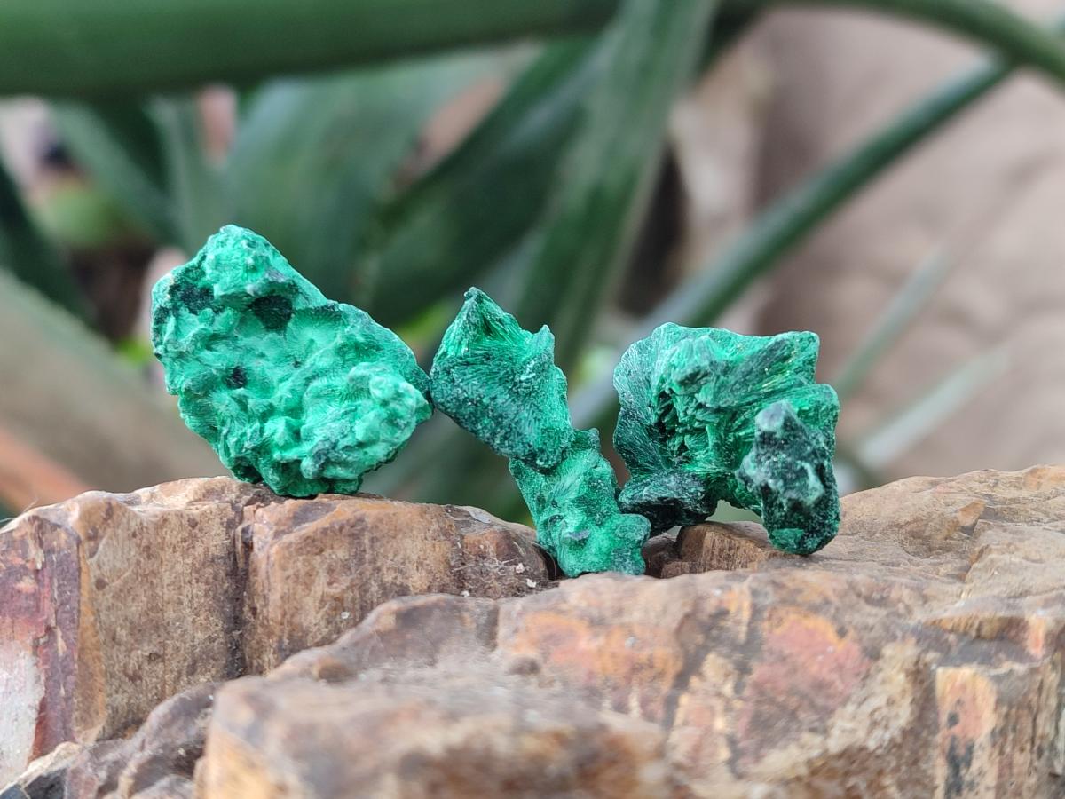 Natural Mini Silky Malachite Specimens x 280 From Kasompe, Congo - Toprock Gemstones and Minerals 