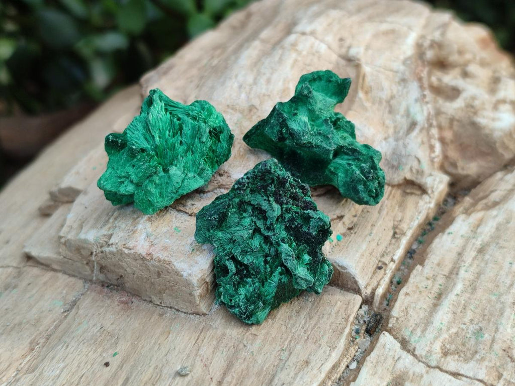 Natural Mini Silky Malachite Specimens x 280 From Kasompe, Congo - Toprock Gemstones and Minerals 