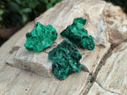 Natural Mini Silky Malachite Specimens x 280 From Kasompe, Congo - Toprock Gemstones and Minerals 