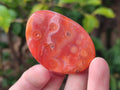 Polished Carnelian Agate Gemstone Palm Stones x 24 From Madagascar - Toprock Gemstones and Minerals 