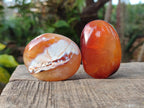 Polished Carnelian Agate Gemstone Palm Stones x 24 From Madagascar - Toprock Gemstones and Minerals 