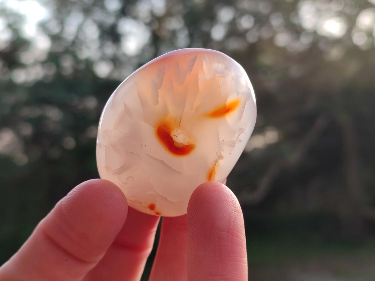 Polished Carnelian Agate Gemstone Palm Stones x 24 From Madagascar - Toprock Gemstones and Minerals 