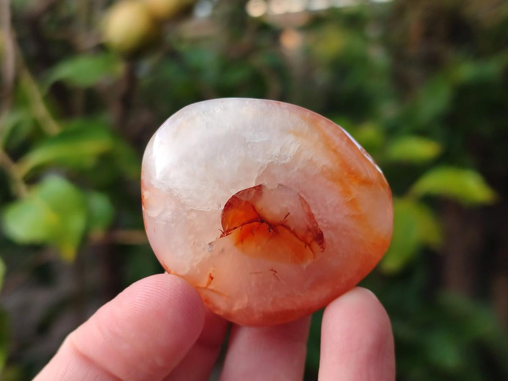Polished Carnelian Agate Gemstone Palm Stones x 24 From Madagascar - Toprock Gemstones and Minerals 
