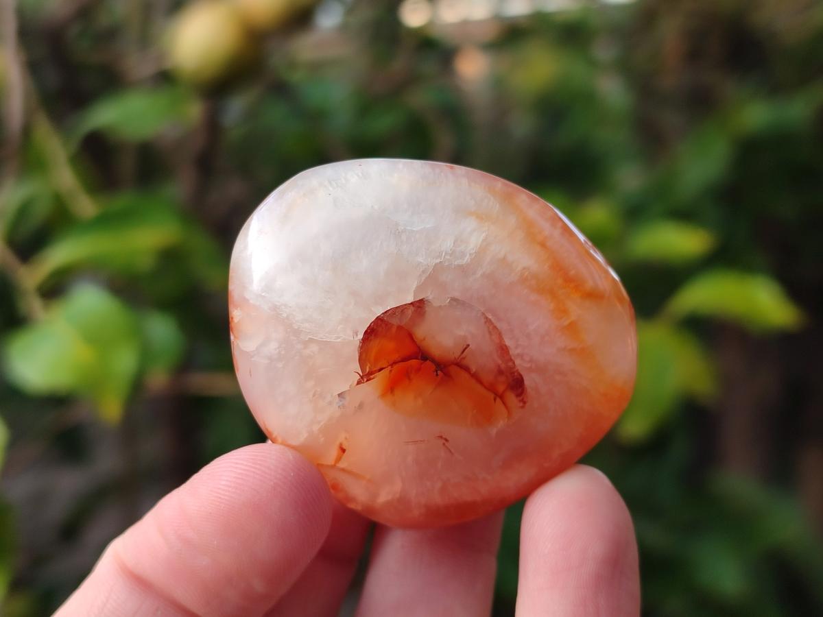Polished Carnelian Agate Gemstone Palm Stones x 24 From Madagascar - Toprock Gemstones and Minerals 