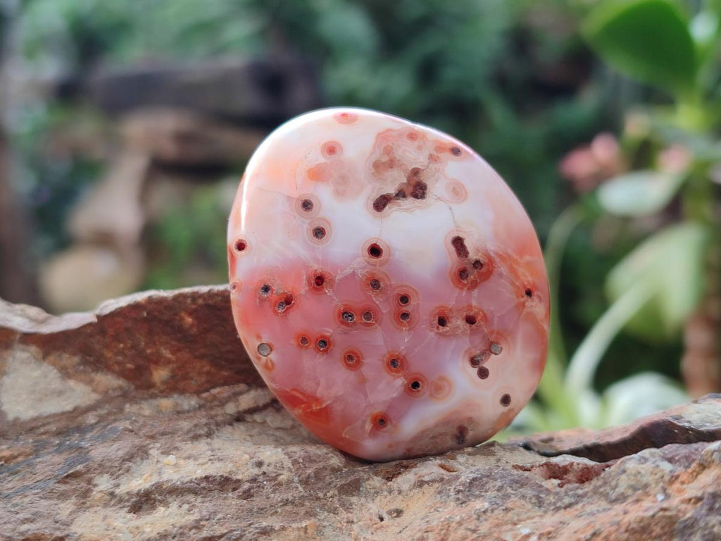 Polished Carnelian Agate Gemstone Palm Stones x 24 From Madagascar - Toprock Gemstones and Minerals 