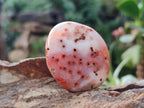 Polished Carnelian Agate Gemstone Palm Stones x 24 From Madagascar - Toprock Gemstones and Minerals 