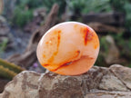 Polished Carnelian Agate Gemstone Palm Stones x 24 From Madagascar - Toprock Gemstones and Minerals 