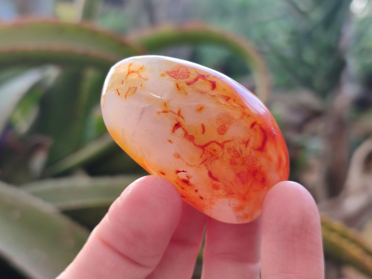 Polished Carnelian Agate Gemstone Palm Stones x 24 From Madagascar - Toprock Gemstones and Minerals 