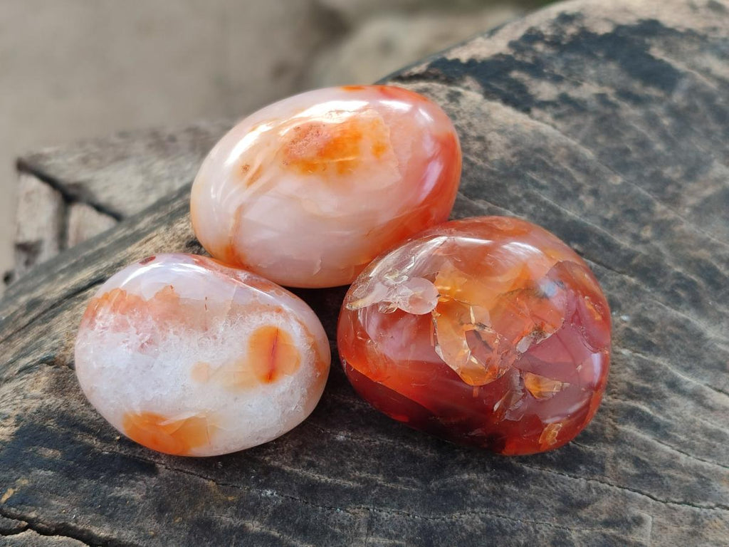 Polished Carnelian Agate Gemstone Palm Stones x 24 From Madagascar - Toprock Gemstones and Minerals 