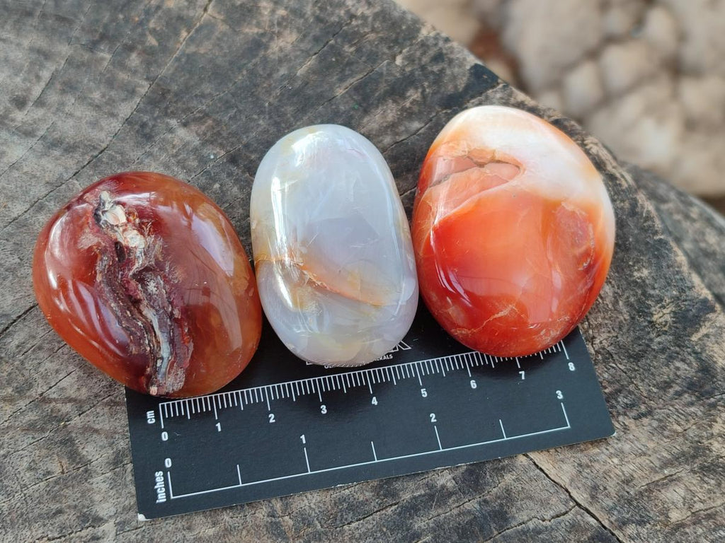 Polished Carnelian Agate Gemstone Palm Stones x 24 From Madagascar - Toprock Gemstones and Minerals 